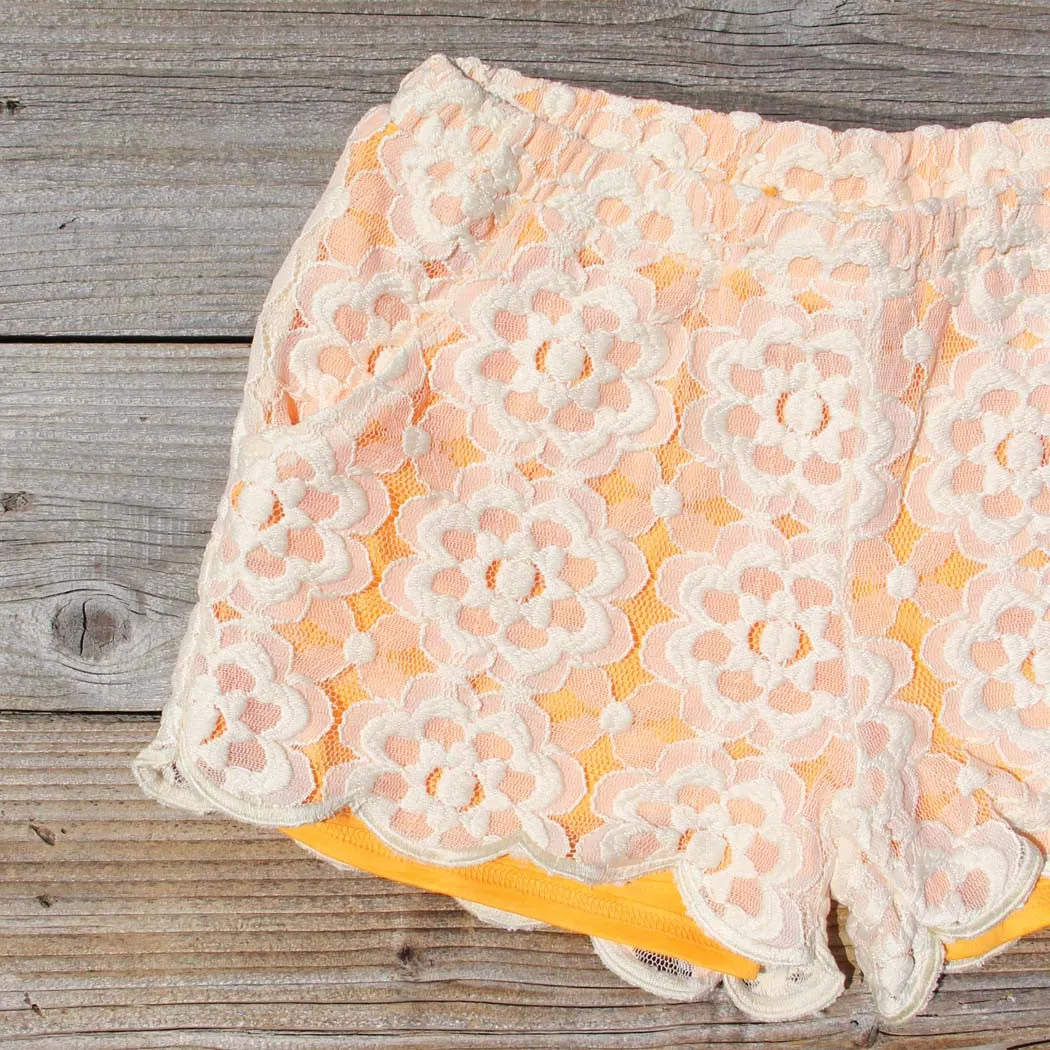 Apricots & Lace Shorts