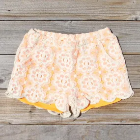 Apricots & Lace Shorts