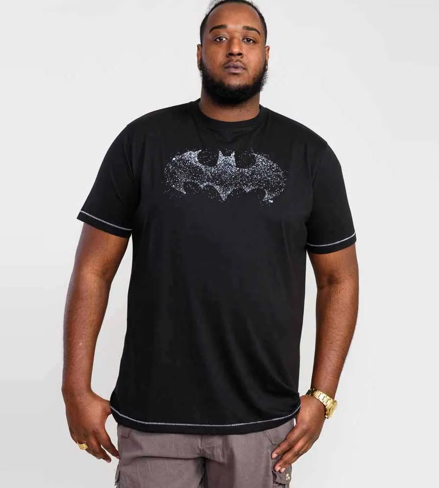 D555 Big Mens Batman Printed T-Shirt Official Licensed Product (ROBIN)