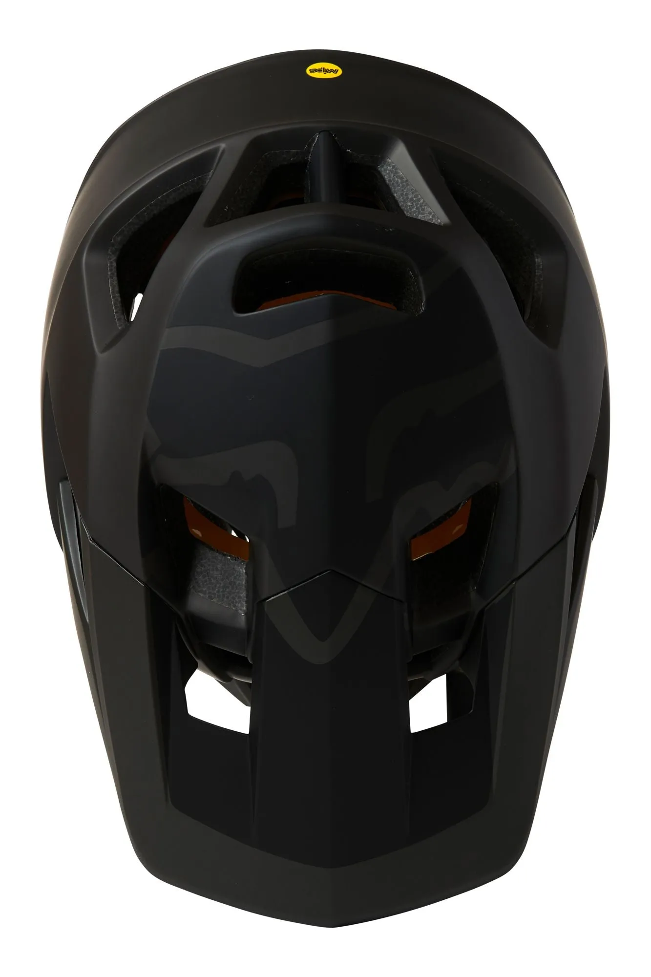 Fox Proframe Bike Helmet