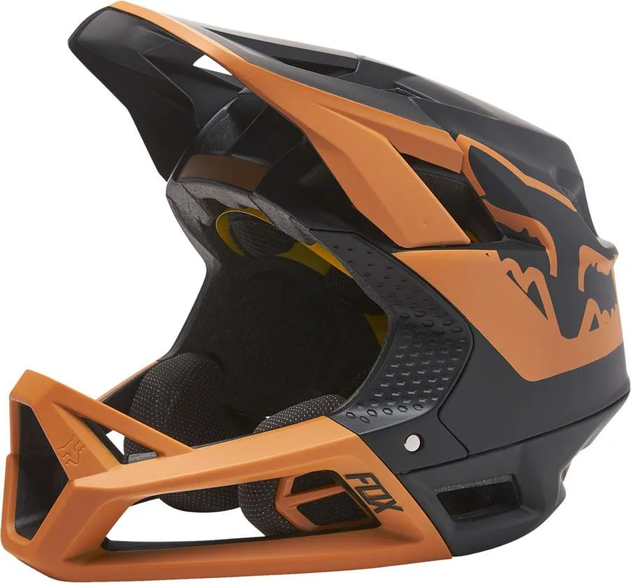 Fox Proframe Bike Helmet