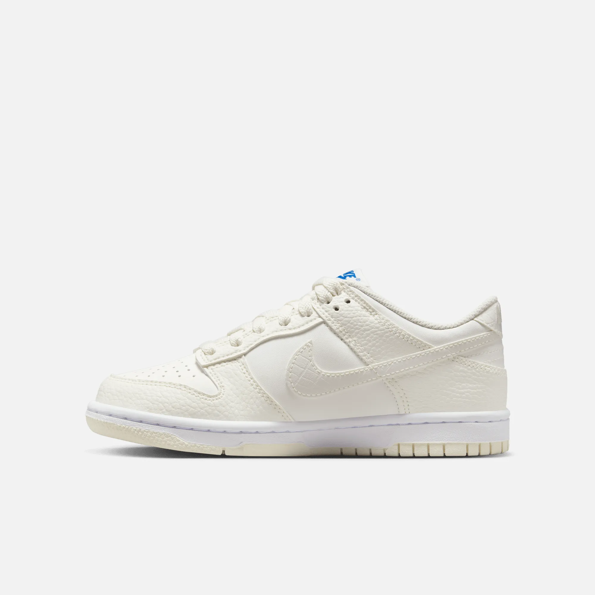 Nike Big Kids' Dunk Low Sail Blue (GS)