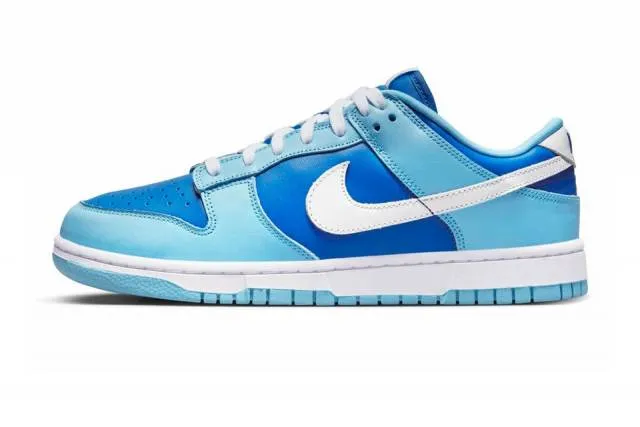 Nike dunk low argon 2022