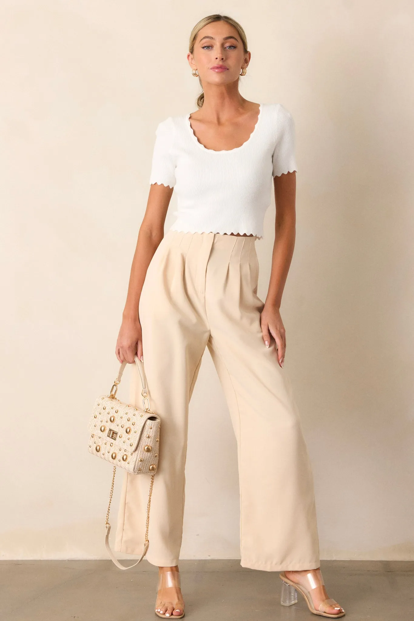 Windy Night Beige Wide Leg Pants