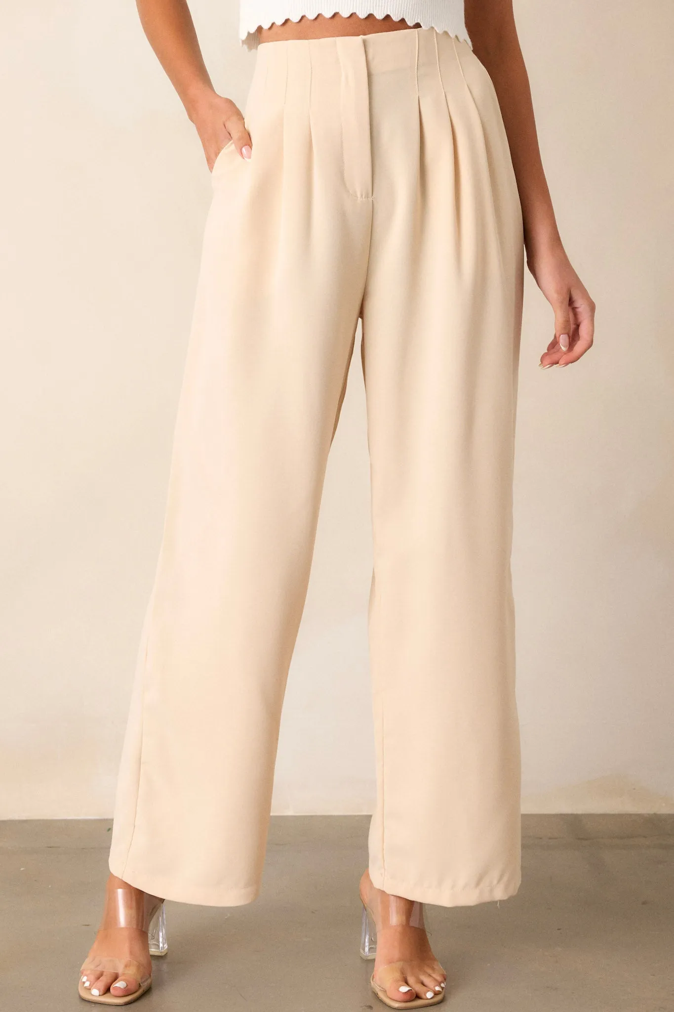 Windy Night Beige Wide Leg Pants