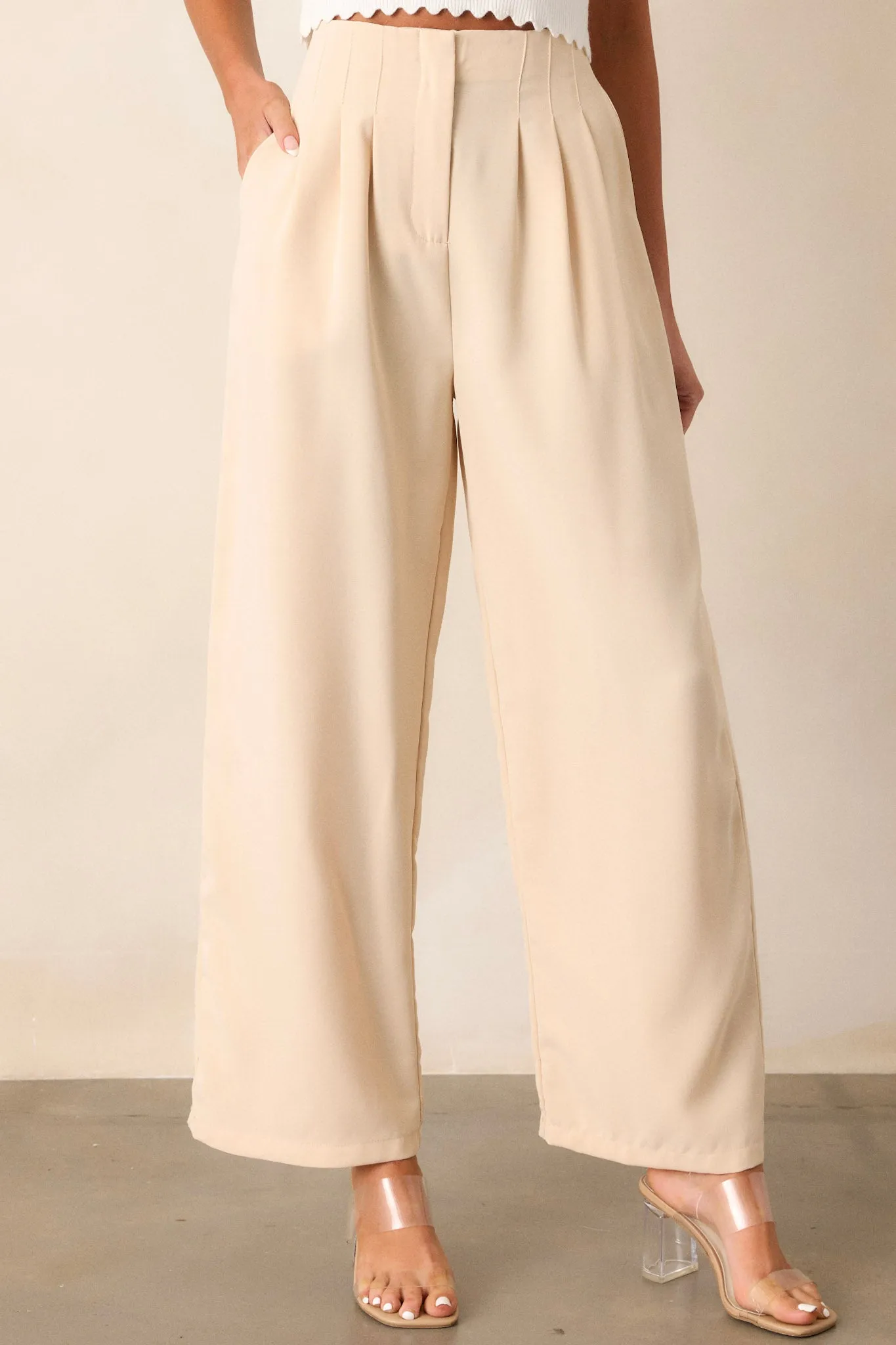 Windy Night Beige Wide Leg Pants